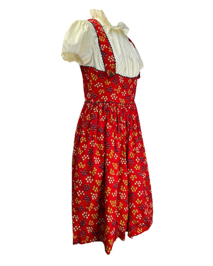 1960's Swiss Mountains Dress