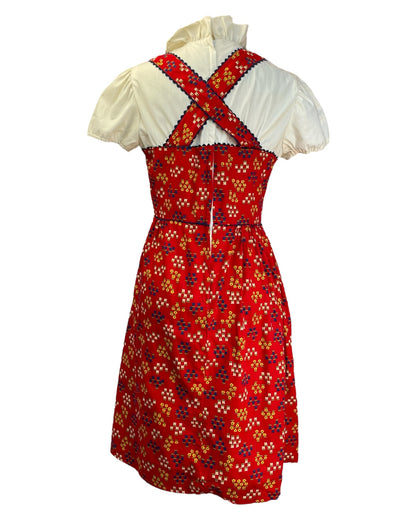 1960's Swiss Mountains Dress