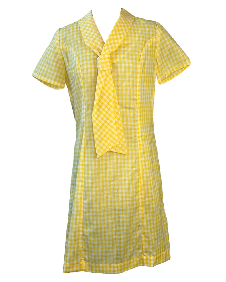 1960s Sunshine Dorothy Dress