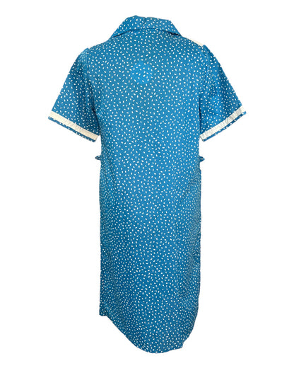 Vintage Blue Seed Dress